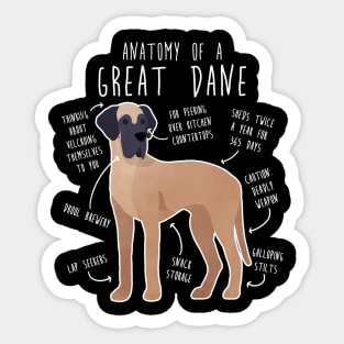 Fawn Great Dane Dog Anatomy Sticker